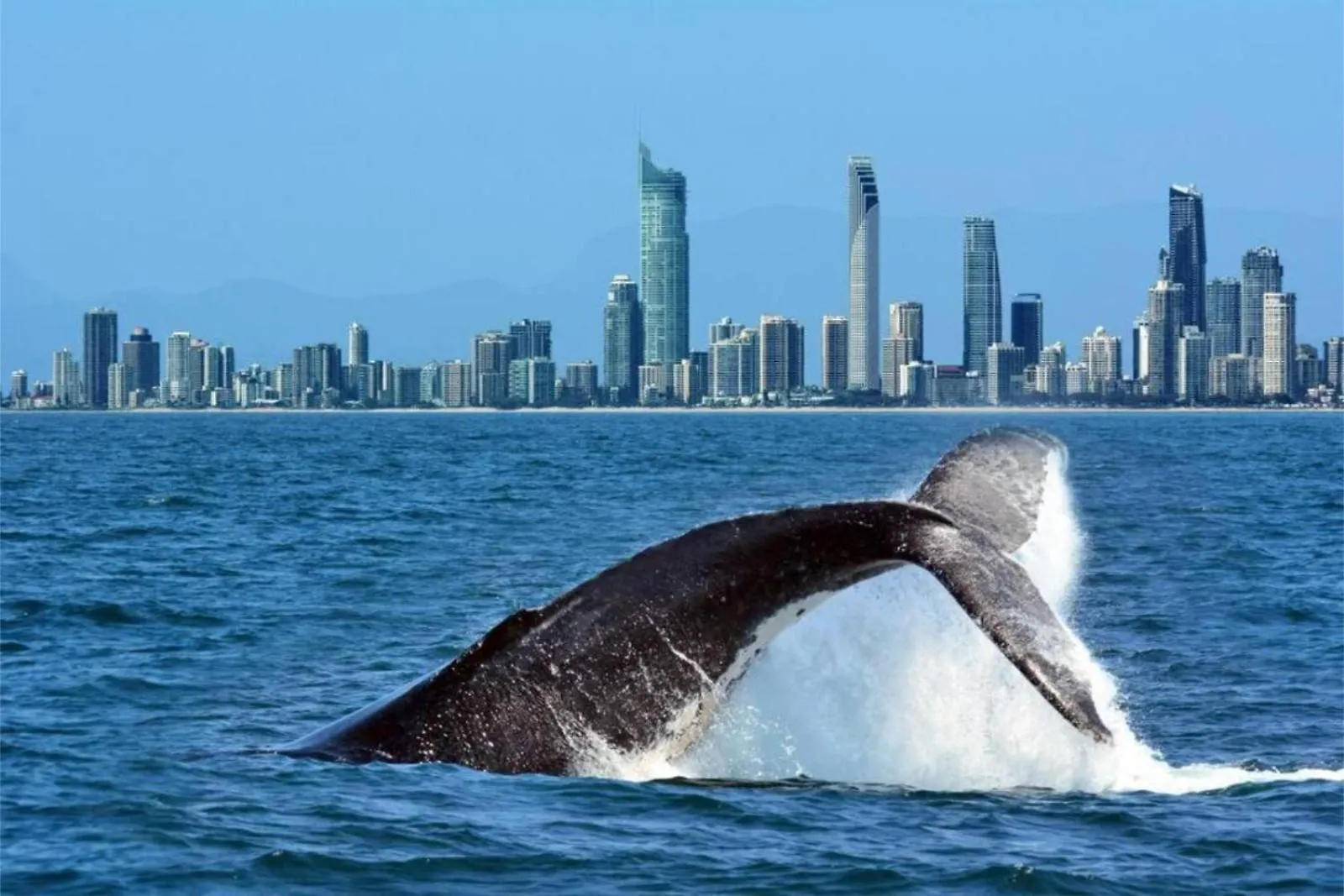 Apartamento Circle On Cavill Escape Gold Coast Australia